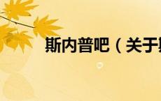 斯内普吧（关于斯内普吧的介绍）
