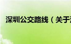 深圳公交路线（关于深圳公交路线的介绍）