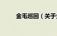 金毛巡回（关于金毛巡回的介绍）
