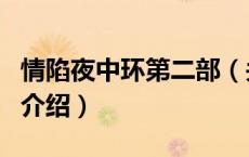 情陷夜中环第二部（关于情陷夜中环第二部的介绍）