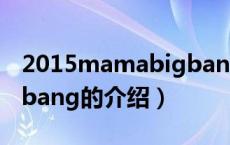 2015mamabigbang（关于2015mamabigbang的介绍）