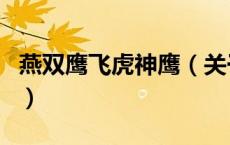 燕双鹰飞虎神鹰（关于燕双鹰飞虎神鹰的介绍）