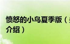 愤怒的小鸟夏季版（关于愤怒的小鸟夏季版的介绍）