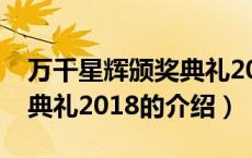 万千星辉颁奖典礼2018（关于万千星辉颁奖典礼2018的介绍）