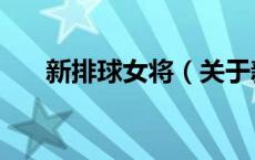 新排球女将（关于新排球女将的介绍）
