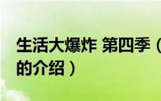 生活大爆炸 第四季（关于生活大爆炸 第四季的介绍）