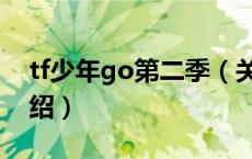 tf少年go第二季（关于tf少年go第二季的介绍）