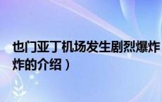 也门亚丁机场发生剧烈爆炸（关于也门亚丁机场发生剧烈爆炸的介绍）