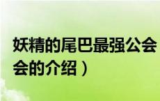 妖精的尾巴最强公会（关于妖精的尾巴最强公会的介绍）