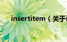 insertitem（关于insertitem的介绍）
