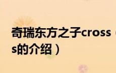 奇瑞东方之子cross（关于奇瑞东方之子cross的介绍）