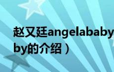 赵又廷angelababy（关于赵又廷angelababy的介绍）