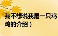 我不想说我是一只鸡（关于我不想说我是一只鸡的介绍）