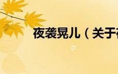 夜袭晃儿（关于夜袭晃儿的介绍）