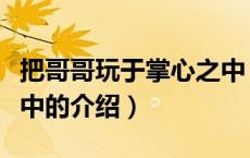 把哥哥玩于掌心之中（关于把哥哥玩于掌心之中的介绍）
