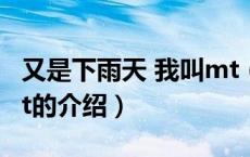 又是下雨天 我叫mt（关于又是下雨天 我叫mt的介绍）