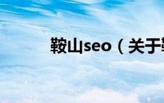 鞍山seo（关于鞍山seo的介绍）