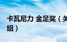 卡瓦尼力 金足奖（关于卡瓦尼力 金足奖的介绍）