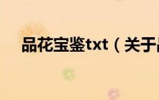 品花宝鉴txt（关于品花宝鉴txt的介绍）