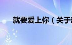 就要爱上你（关于就要爱上你的介绍）