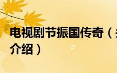 电视剧节振国传奇（关于电视剧节振国传奇的介绍）