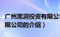 广州黑洞投资有限公司（关于广州黑洞投资有限公司的介绍）
