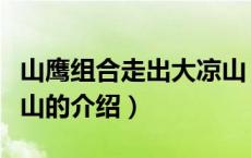 山鹰组合走出大凉山（关于山鹰组合走出大凉山的介绍）