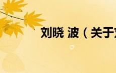 刘晓 波（关于刘晓 波的介绍）