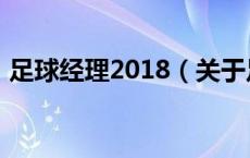 足球经理2018（关于足球经理2018的介绍）