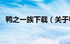 鸭之一族下载（关于鸭之一族下载的介绍）