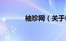 袖珍网（关于袖珍网的介绍）