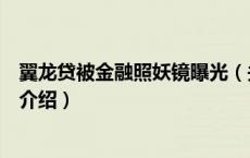 翼龙贷被金融照妖镜曝光（关于翼龙贷被金融照妖镜曝光的介绍）