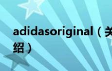 adidasoriginal（关于adidasoriginal的介绍）