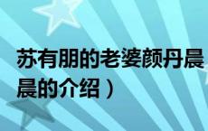 苏有朋的老婆颜丹晨（关于苏有朋的老婆颜丹晨的介绍）
