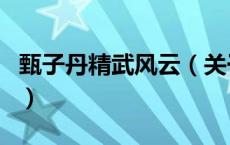甄子丹精武风云（关于甄子丹精武风云的介绍）