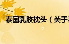 泰国乳胶枕头（关于泰国乳胶枕头的介绍）