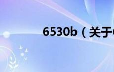 6530b（关于6530b的介绍）