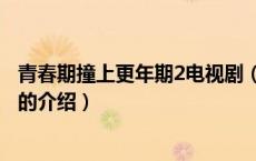 青春期撞上更年期2电视剧（关于青春期撞上更年期2电视剧的介绍）