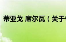 蒂亚戈 席尔瓦（关于蒂亚戈 席尔瓦的介绍）