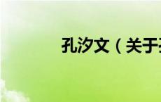 孔汐文（关于孔汐文的介绍）