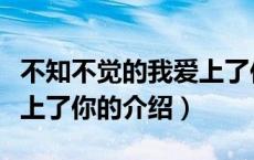 不知不觉的我爱上了你（关于不知不觉的我爱上了你的介绍）