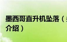 墨西哥直升机坠落（关于墨西哥直升机坠落的介绍）
