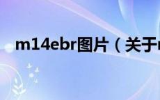 m14ebr图片（关于m14ebr图片的介绍）