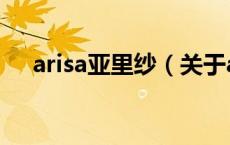 arisa亚里纱（关于arisa亚里纱的介绍）