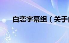 白恋字幕组（关于白恋字幕组的介绍）