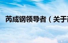 芮成钢领导者（关于芮成钢领导者的介绍）