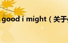 good i might（关于good i might的介绍）