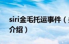 siri金毛托运事件（关于siri金毛托运事件的介绍）
