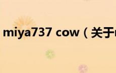 miya737 cow（关于miya737 cow的介绍）