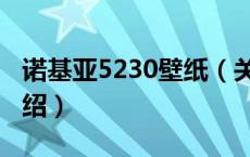 诺基亚5230壁纸（关于诺基亚5230壁纸的介绍）